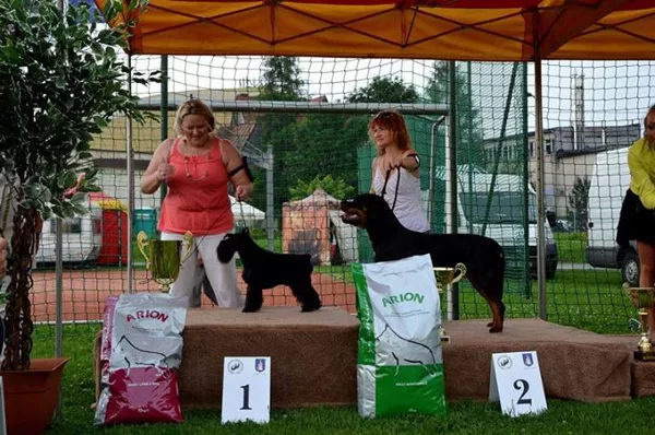 Larabell na BEST IN SHOW