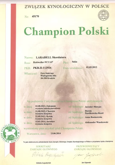 Champion Polski