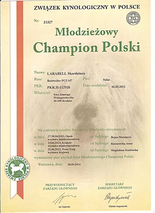 Junior Champion Polski