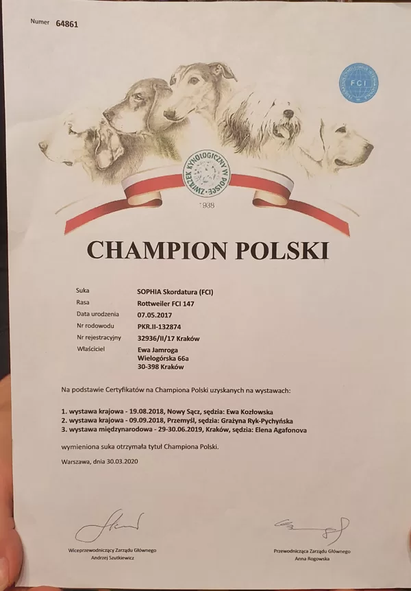Championat Polski