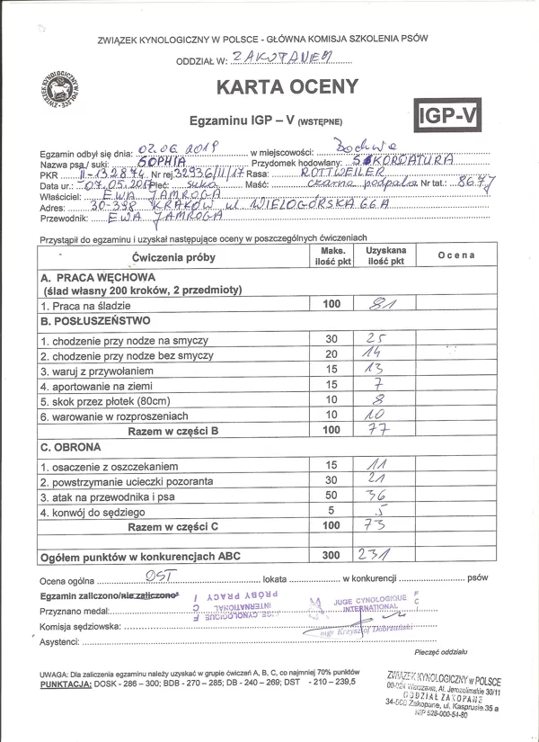 IGP-V