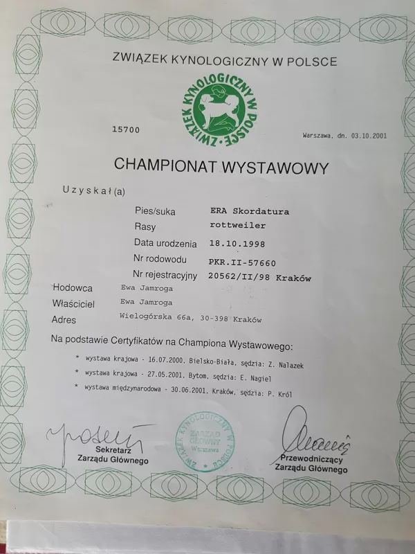 Champion Polski