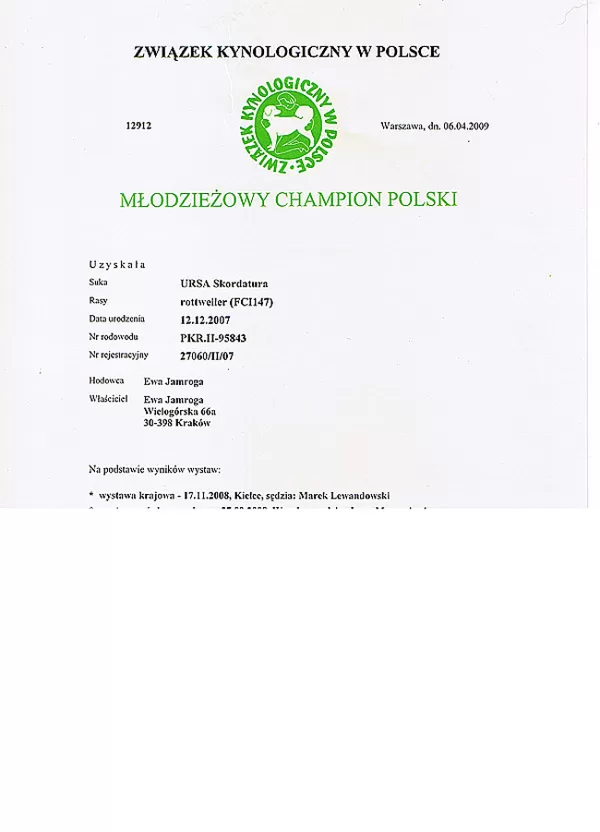 Junior Champion Polski