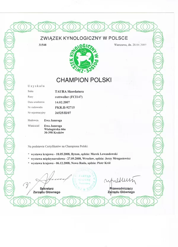 Champion Polski