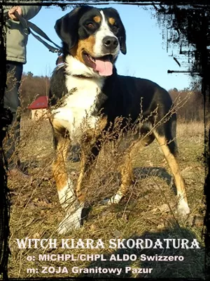 Kiara 10 miesięcy