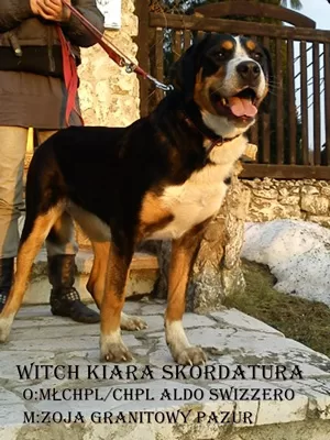 Kiara 11 miesięcy
